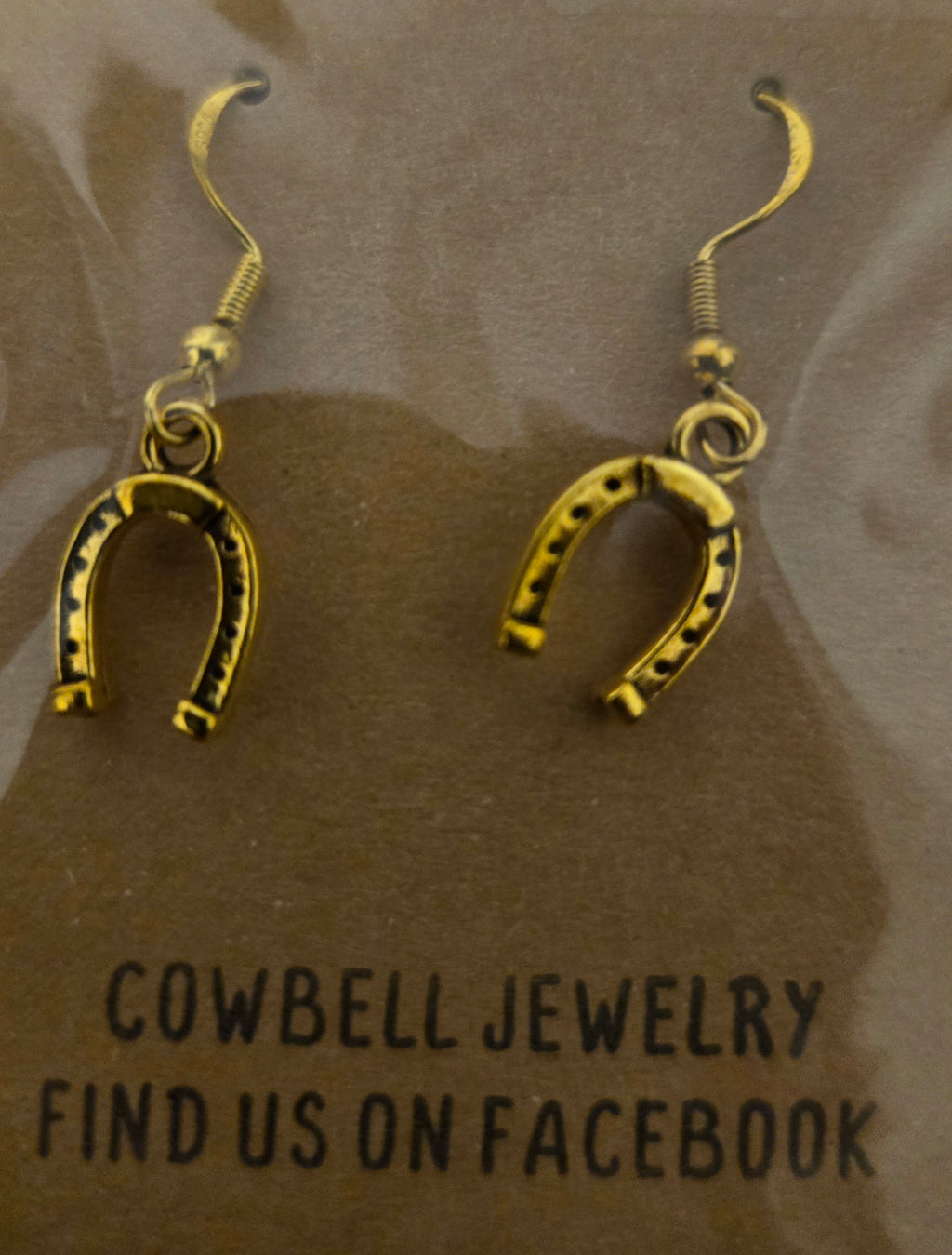 Horse shoe Earrings