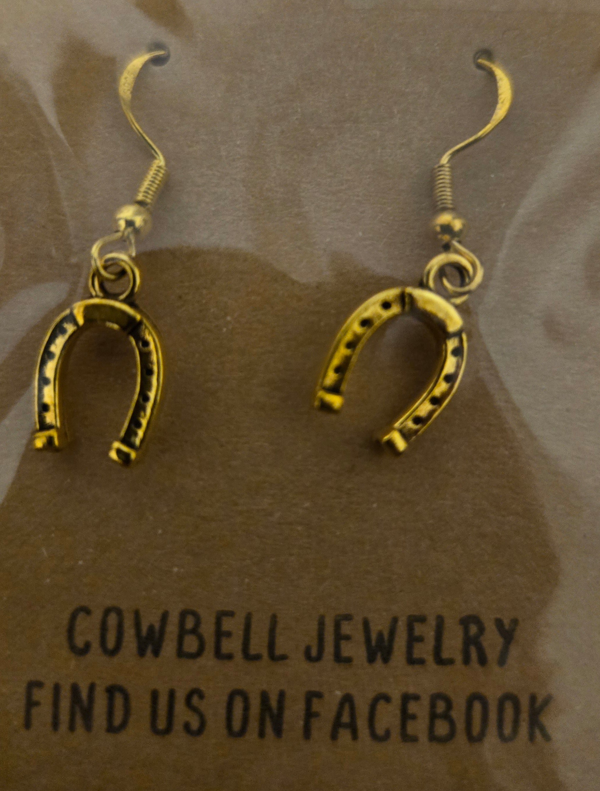 Horse shoe Earrings